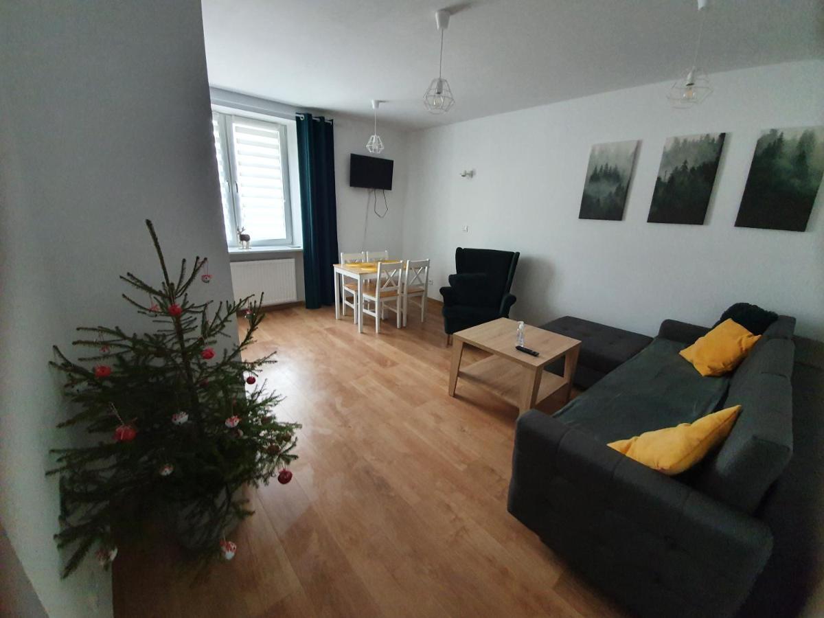 Apartament Aga Ustrzyki Dolne Bagian luar foto